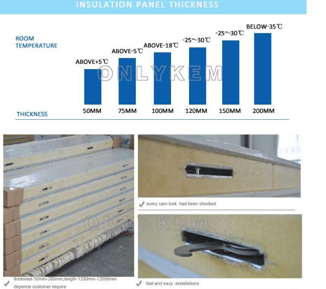Fish Blast Freezer Cold Storage with PU Insulation Panel