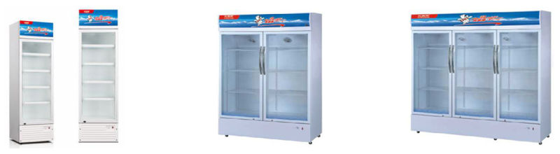 Commercial Freezer Chest Freezer Deep Freezer Fridge Refrigerator