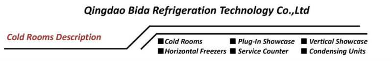 PU Sandwich Polyurethane Insulated Panel Coldroom