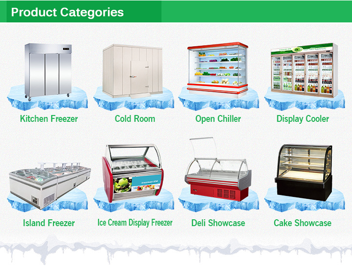 Commercial Refrigeration Equipment Quick Walk-in Freezer Room