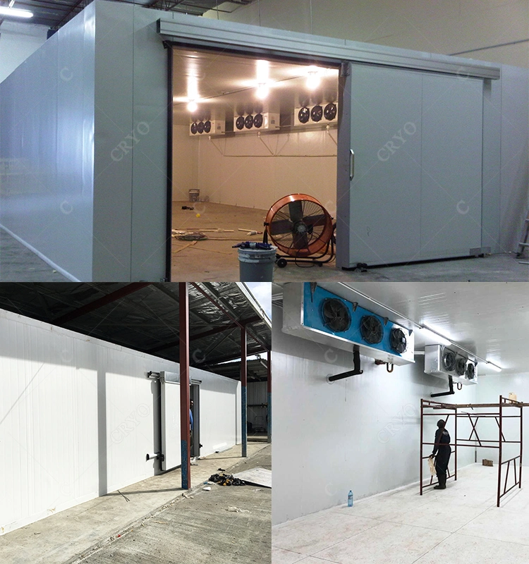 Frozen Cold Storage Insulation Panel Cold Room Cold Storage Room for Meat
