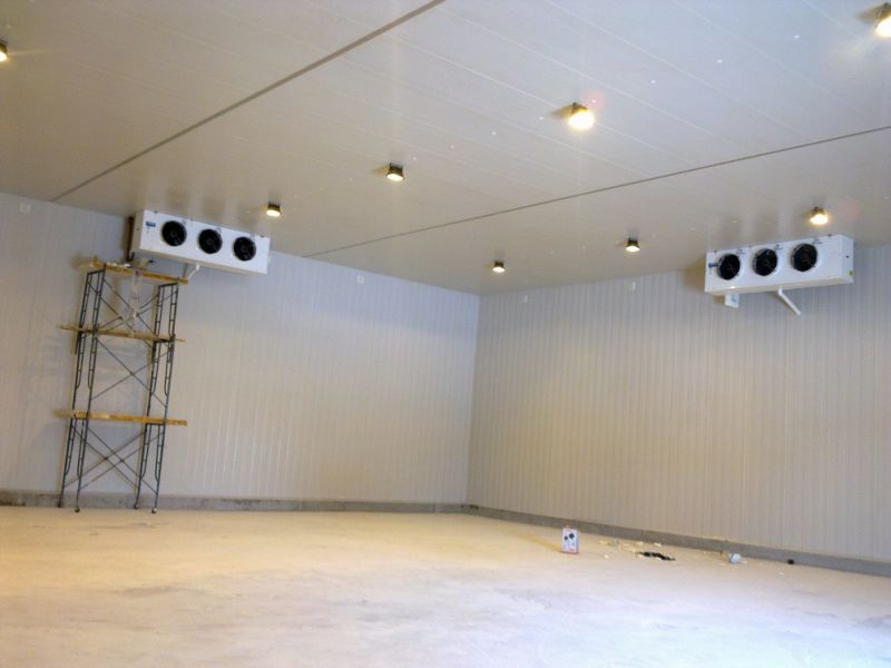 Prefabricated Cold Rooms for Fruits Meat Fish Vegetables
