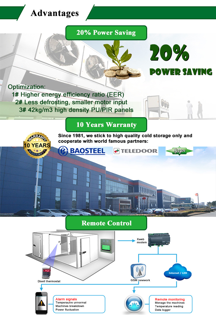 Whole Chicken Export Potato Seafood Cold Room PU Panel Cold Room Cold Storage