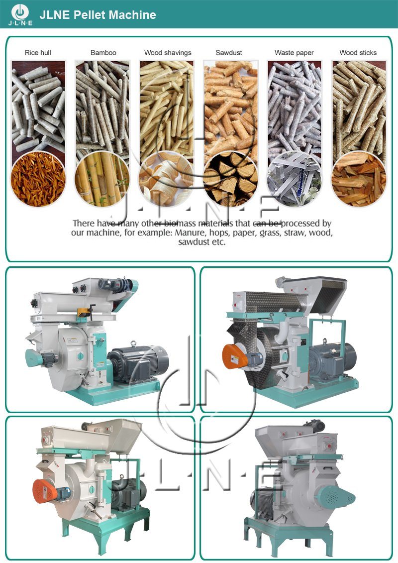 Manufacturers Biomass/Sawdust/Rice Husk/Wheat Bran/Wood Pellet Maker