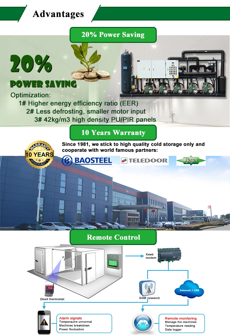 Cucumber Extract Cranberry Beans Convert Walk in Cooler to Freezer Panel Cold Storage Fruit Blast Freezer