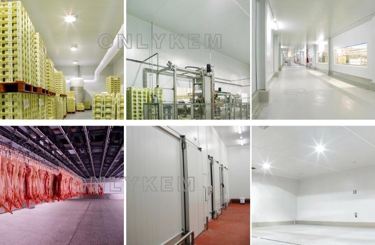 Cold Storage Room with Sandwich Panel for Frozen Meats