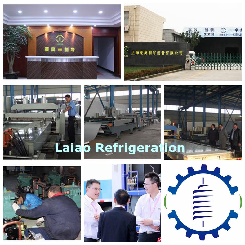 Cold Room Project Cold Room Freezer Fish Processing (LAIAO)