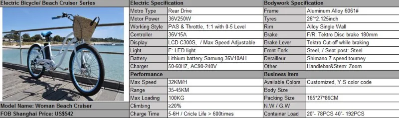 Strong and Cheaper Lithium Battery Operated Electric Bicycle