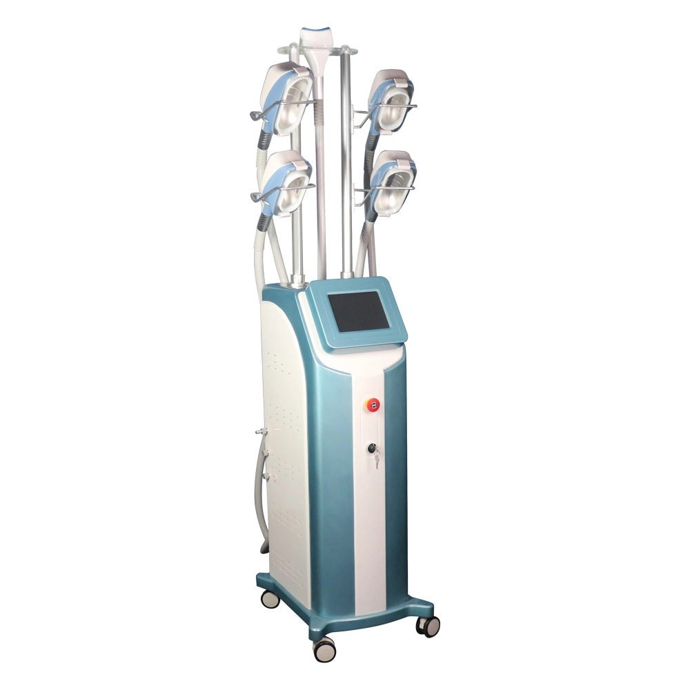 Apparecchiatura laser di grado medico Cryolipolysis EMS più economica