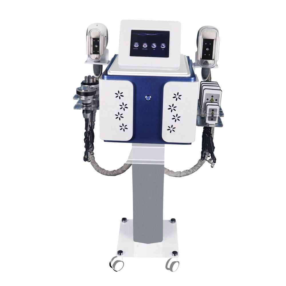 Apparecchiatura laser di grado medico Cryolipolysis EMS più economica