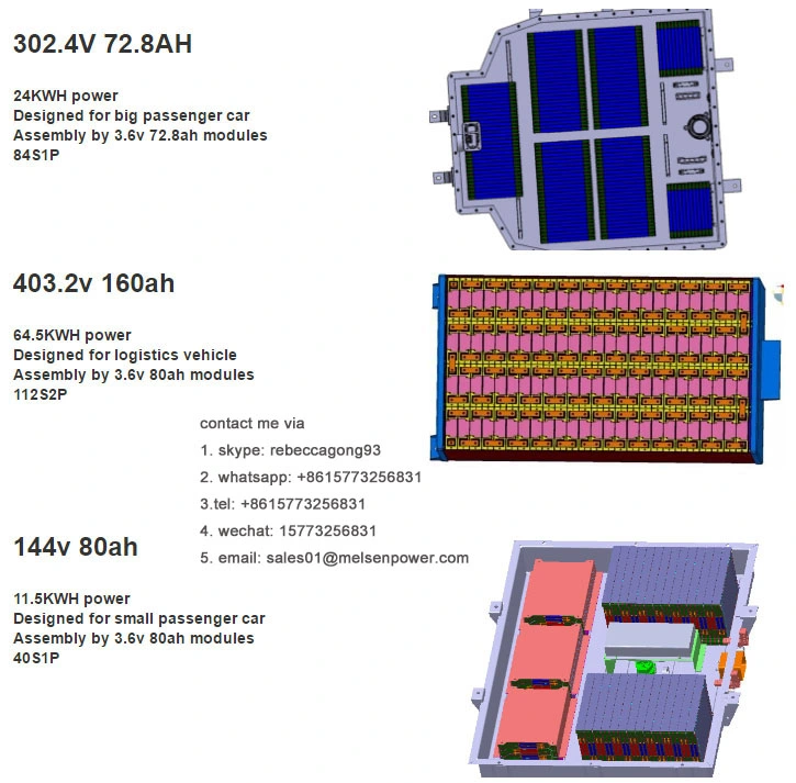 Electric Car Battery Pack 48V 100ah LiFePO4 Battery Pack, Electric Car LiFePO4 Battery 24V 200ah