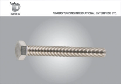 China Manufacturer Thread Rod with Two Hexagonal Nuts, 2016 Hot Sale in China