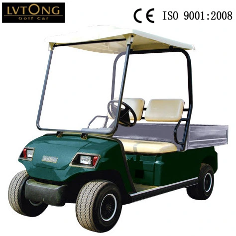 Best 2 Seaters Battery Car for Hotel