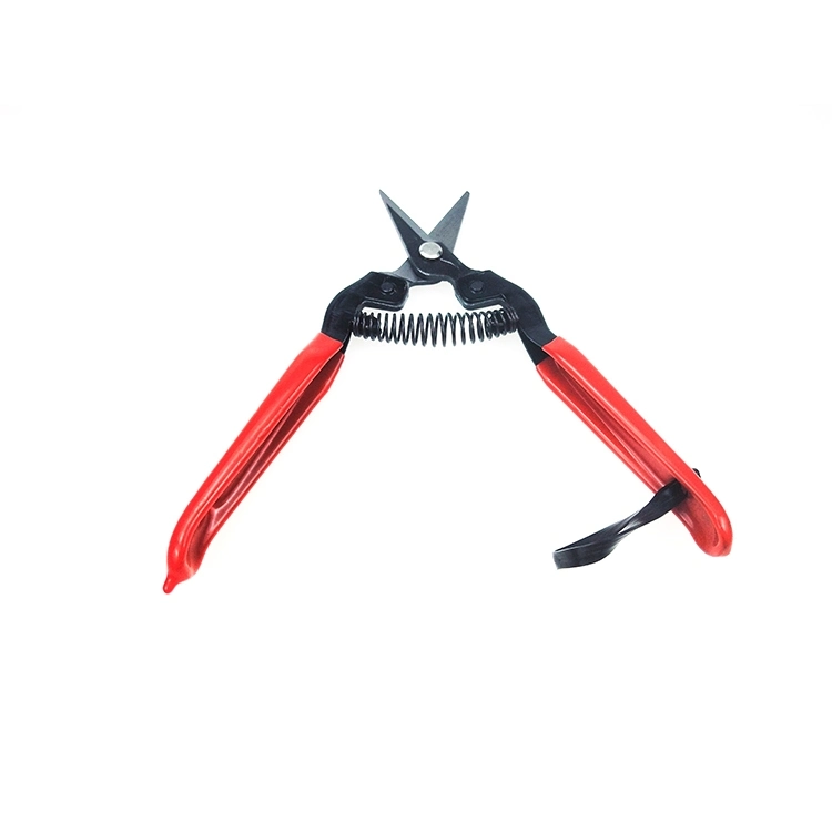 Professional Hand Tool Garden Trimming Scissor Pruning Shear