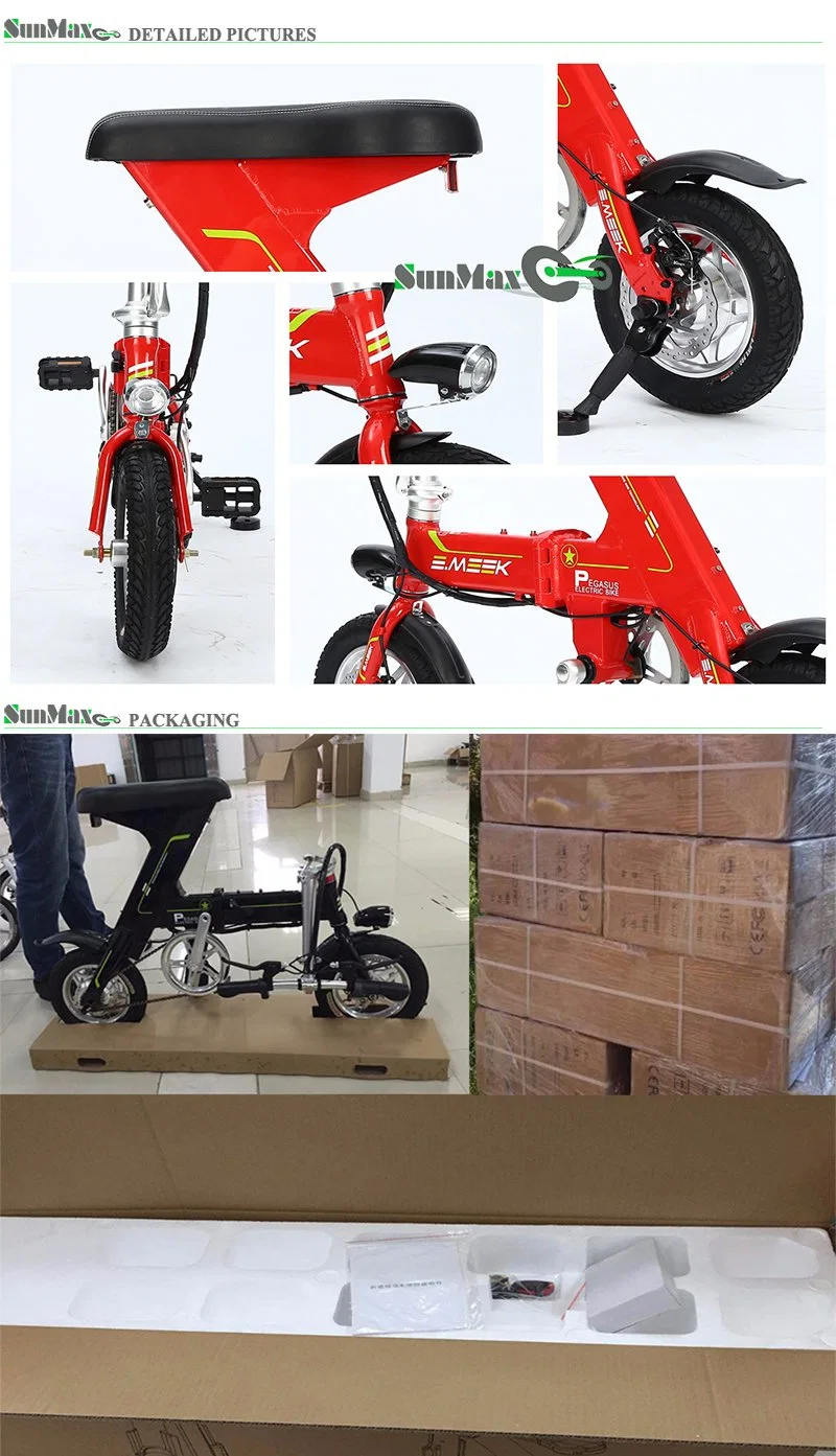 Light Weight Portable Electric Mini Bike