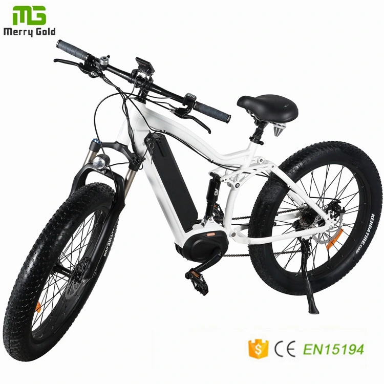 Cheap Newest City / Mountain Electric Bicycle