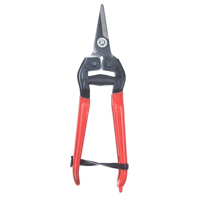 Professional Hand Tool Garden Trimming Scissor Pruning Shear