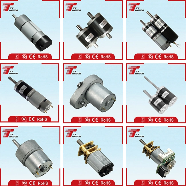 Micro 24V torque DC gear motor for lawn mowers