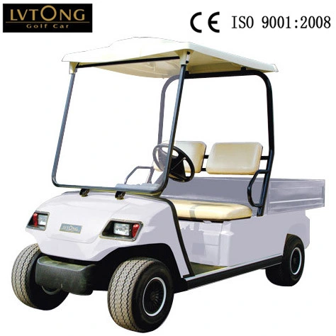 Best 2 Seaters Battery Car for Hotel