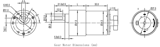 High torque 12V DC gear motor for polishers
