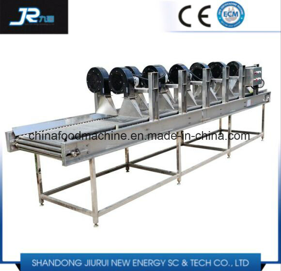 The Classifier Jujube Processing Production Washing Polishing Machine