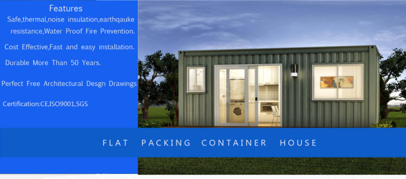 China Supplier Modern Living Prefabricated Prefab Luxury Container House