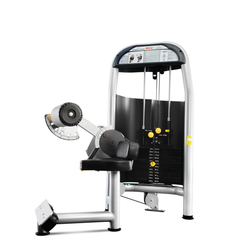 Selectorized Commercial Luxury Abdominal Gym Exercise Deluxe Strength Machine