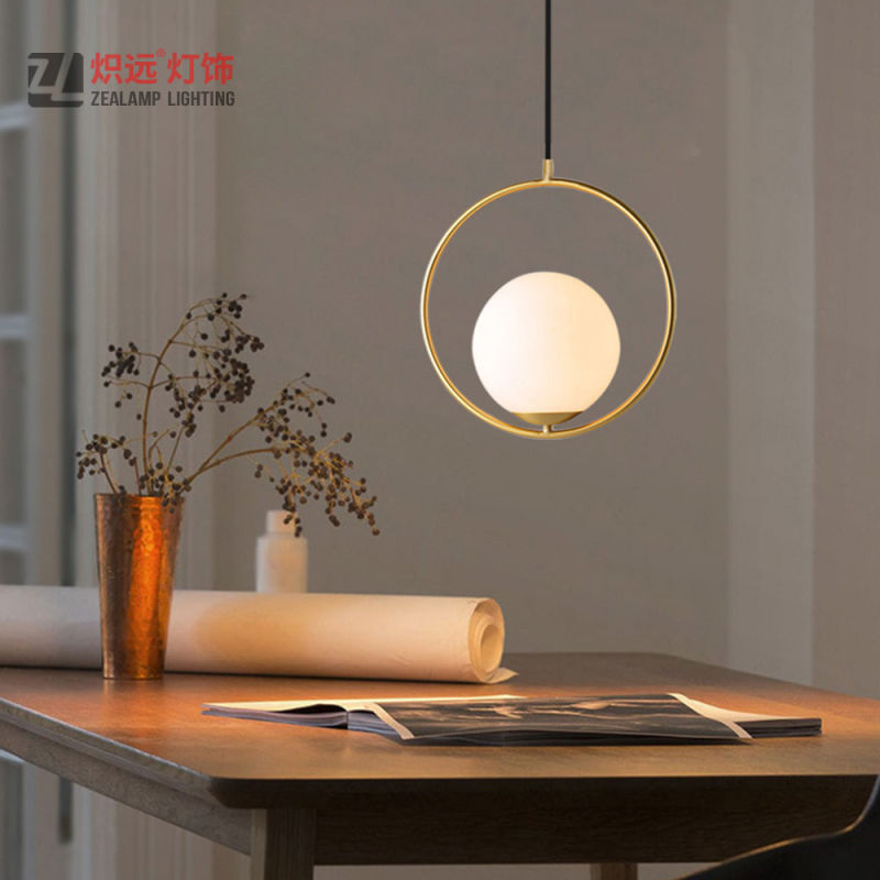 Simple Design Frosted Glass Pendant Lamp for Living Room (ZLA058P)