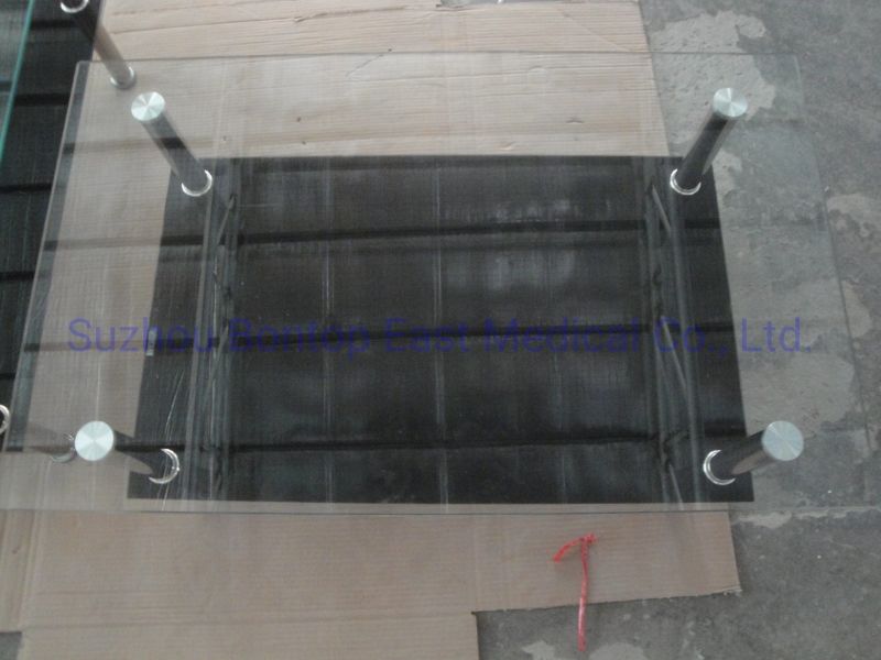 Tempered Glass Coffee Table with Stainless Steel Base