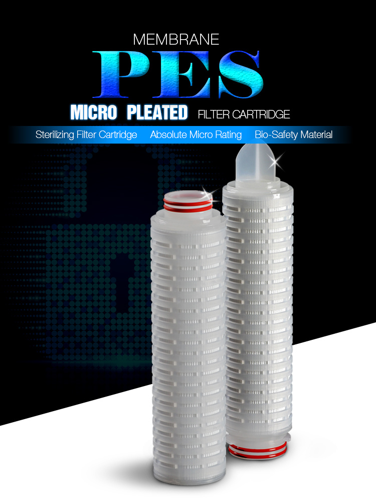 0.22um Pes Pleated Filter Cartridge Hydrophilic Membrane with High Flow