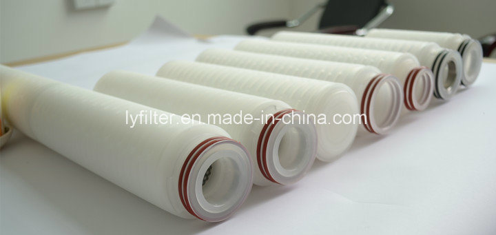PTFE Millipore Membrane Pleated Cartridge Filter with 0.22 Micron