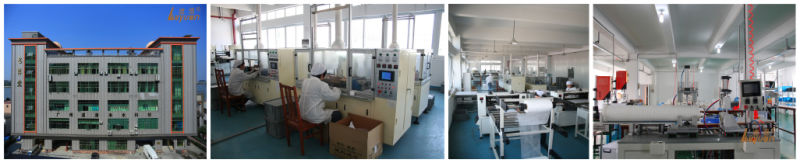 Food Grade 0.2 Micron PVDF Membrane Pleated Cartridge Filter