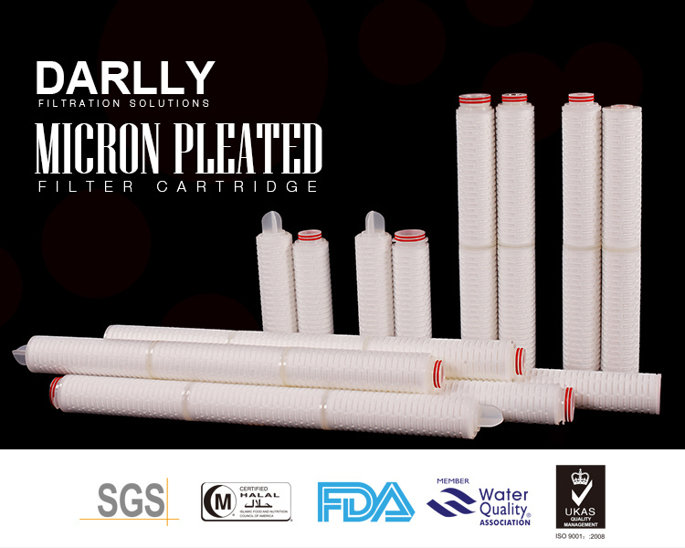 Hydrophobic Pleated PTFE Membrane Cartridge Filter for Sterile Air/Gas Filtration
