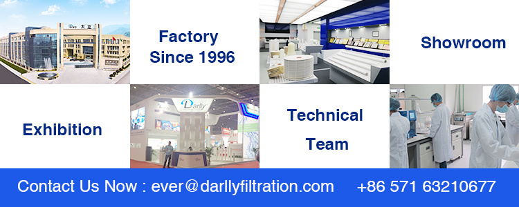 Darlly PP Nominal Pleated High Flow Filter Cartridge for Food and Beverage