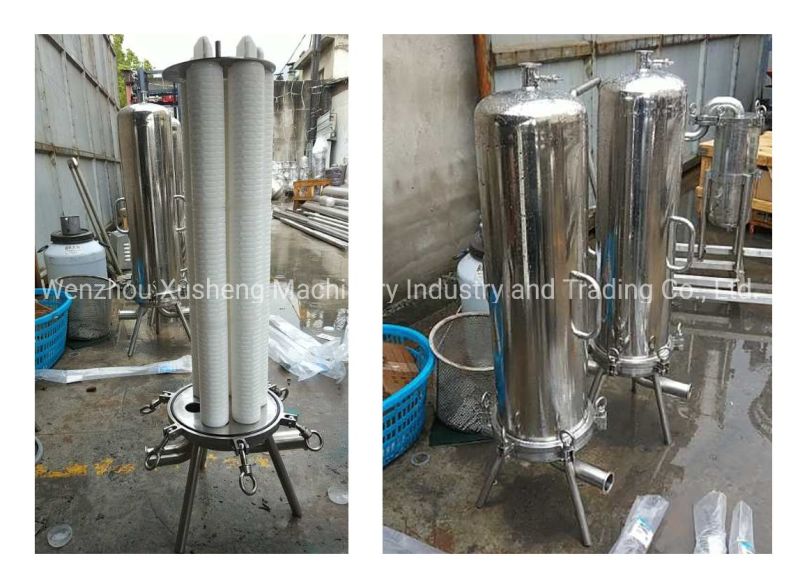 30" Sanitary Clamped Micro-Filter Stainless Steel Filter