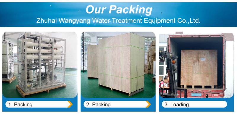 4000L/H Factory Sale Water Filter Machine for Farm Irrigation System