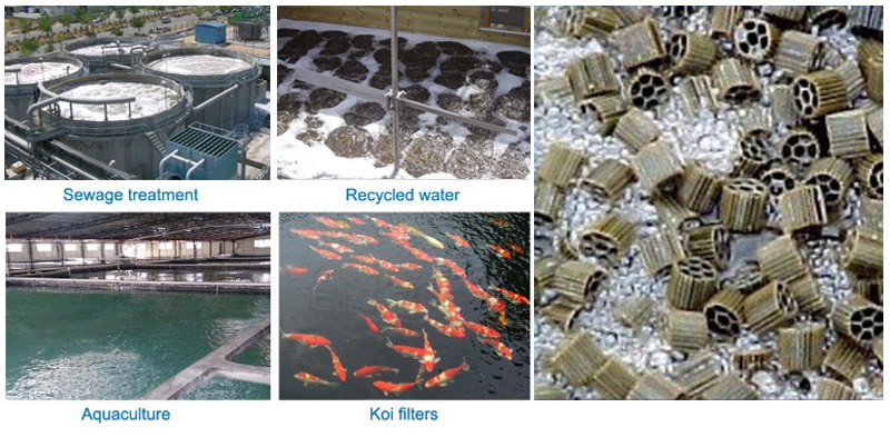 Ltpe03 Plastic Bio Filter Media for Waste Water