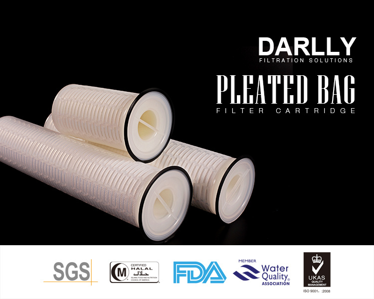 High Flow Pleated Membrane Bag-Ment Filter for Food and Beverage