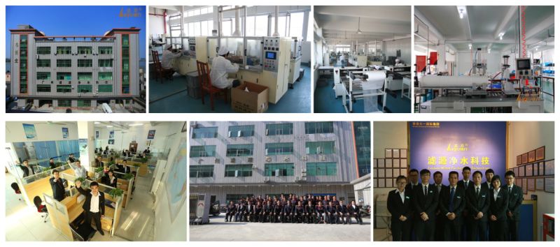 PP/Pes/N6/PTFE Membrane Pleated Filter Cartridge for Water Treatment