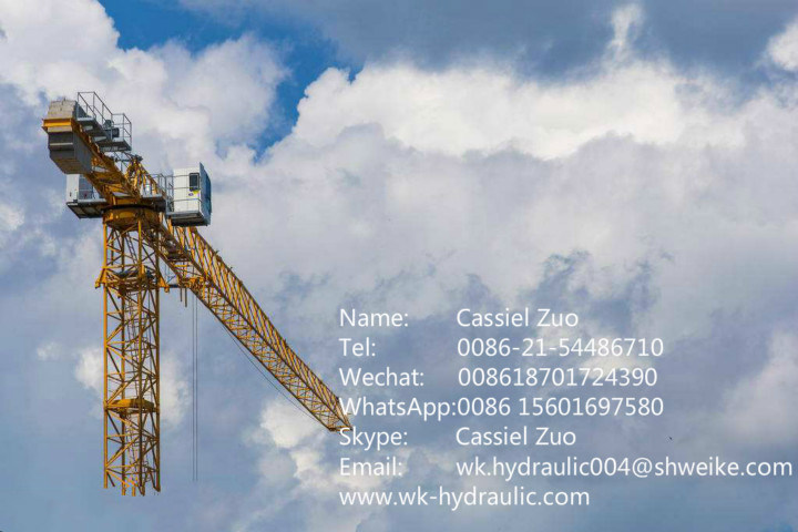 Filter/Spare Parts/Industrial Filter/Filter Cartridge/Oil Filter/Filter Element (D932G10)
