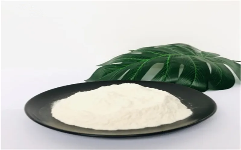 Gypsum Mortar/Light Plaster Gypsum/Building Material Additive /Rdp