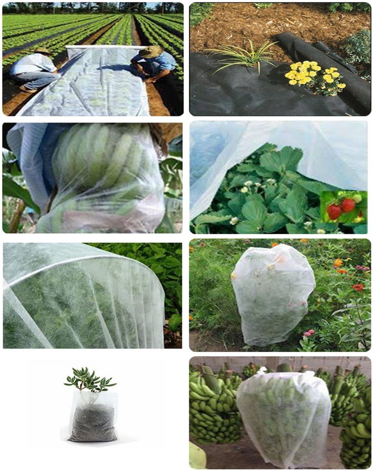 PP Spunbond Nonwoven Fabric for Agriculture 100% Polypropylene
