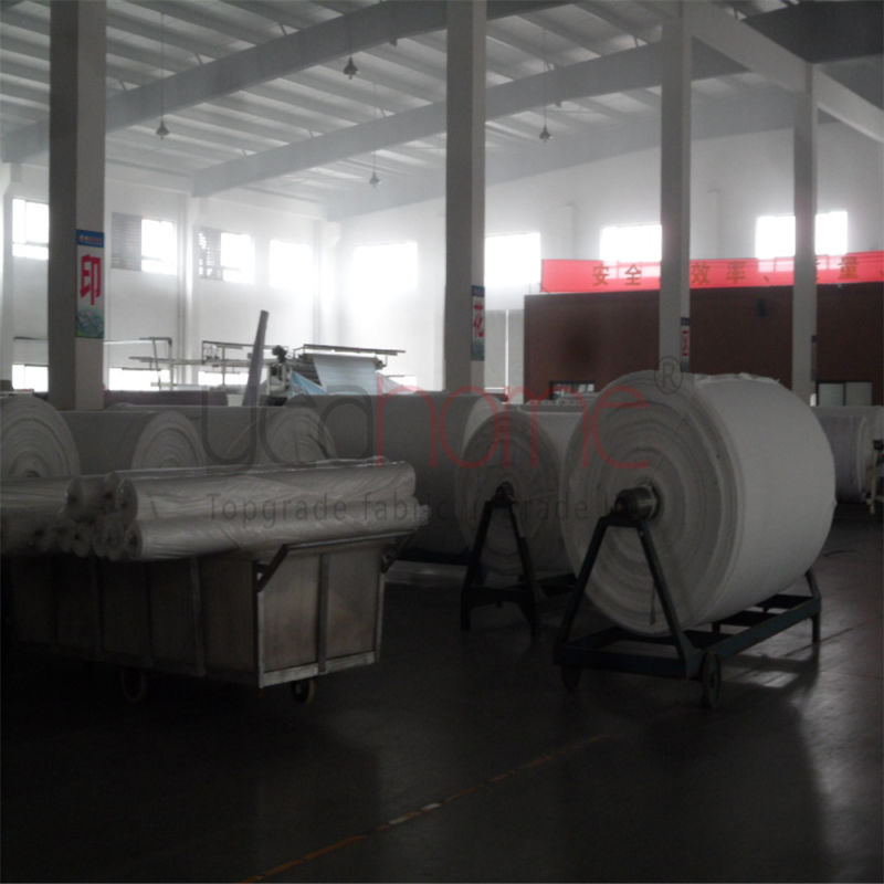 Fabric /Home-Textile Fabric/Polyester Peach Fabric/Brush Fabric for Sheet