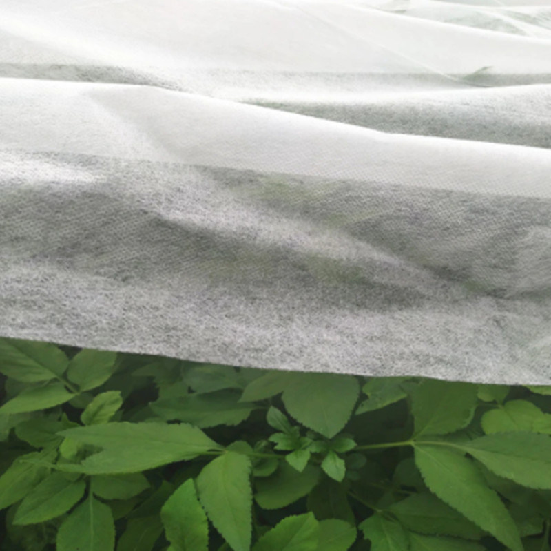 Non- Woven Cloth in Roll Polypropylene PP Non Woven Agricultural Fabric