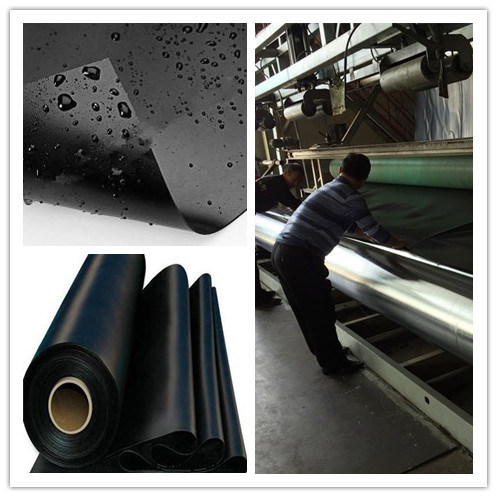 HDPE Geomembrane Pond Liners for Dam Liners