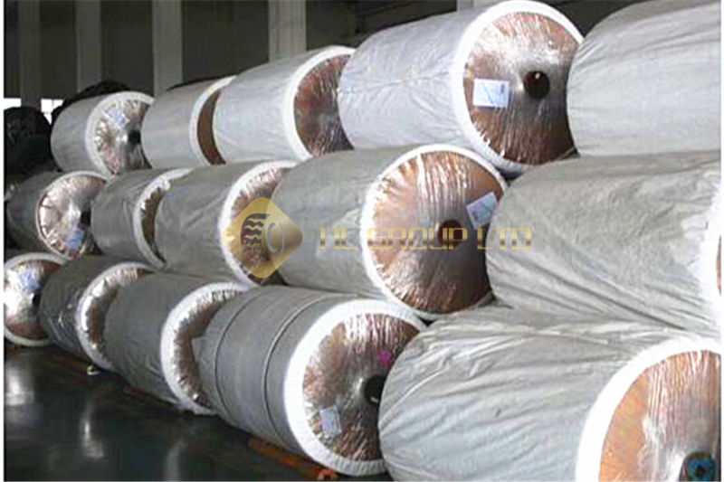 1890d/2 Nylon 6 Dipped Tyre Cord Fabric