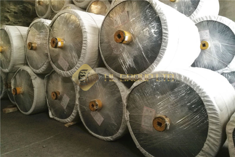 Dipped Tyre Cord Fabric for Tyre, Fishing Net and Rope