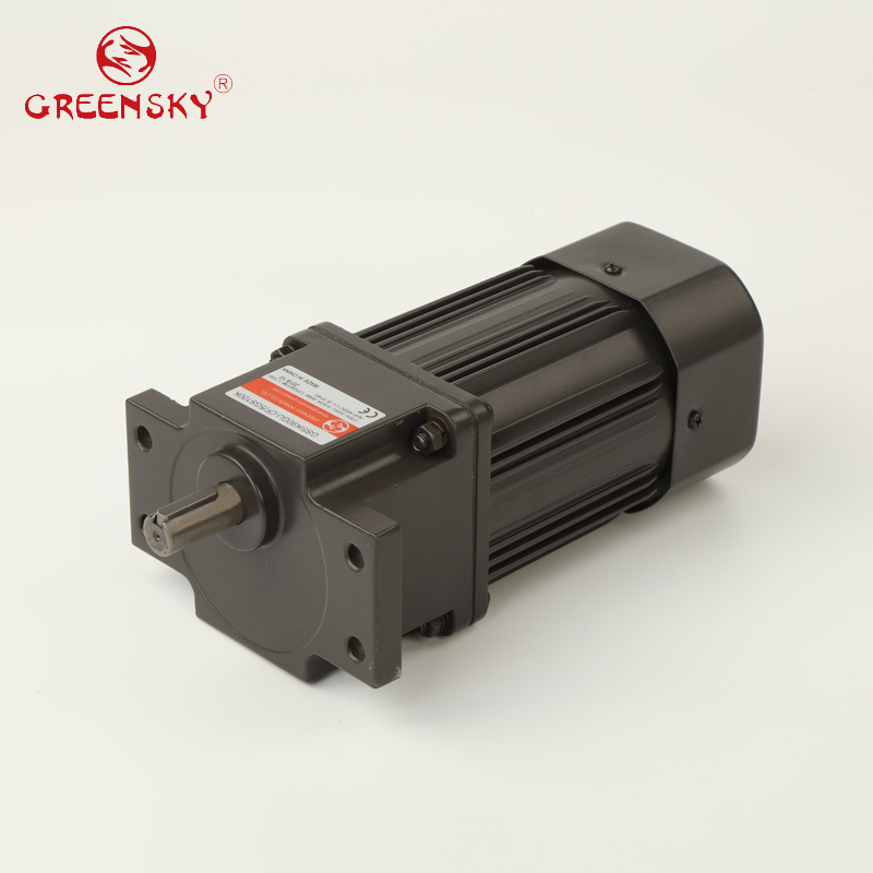 GS High Efficient 120W 90mm AC Electric Induction Gear Motor