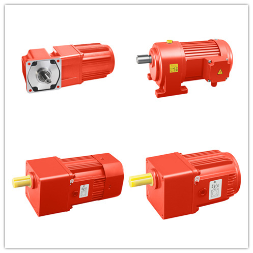 AC Electric Induction Gear Motor for Full Automatic Packing Machine