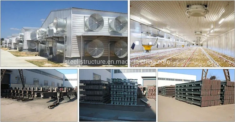 Prefabricated Modern Integrated Chicken Broiler Home Farm House Shed